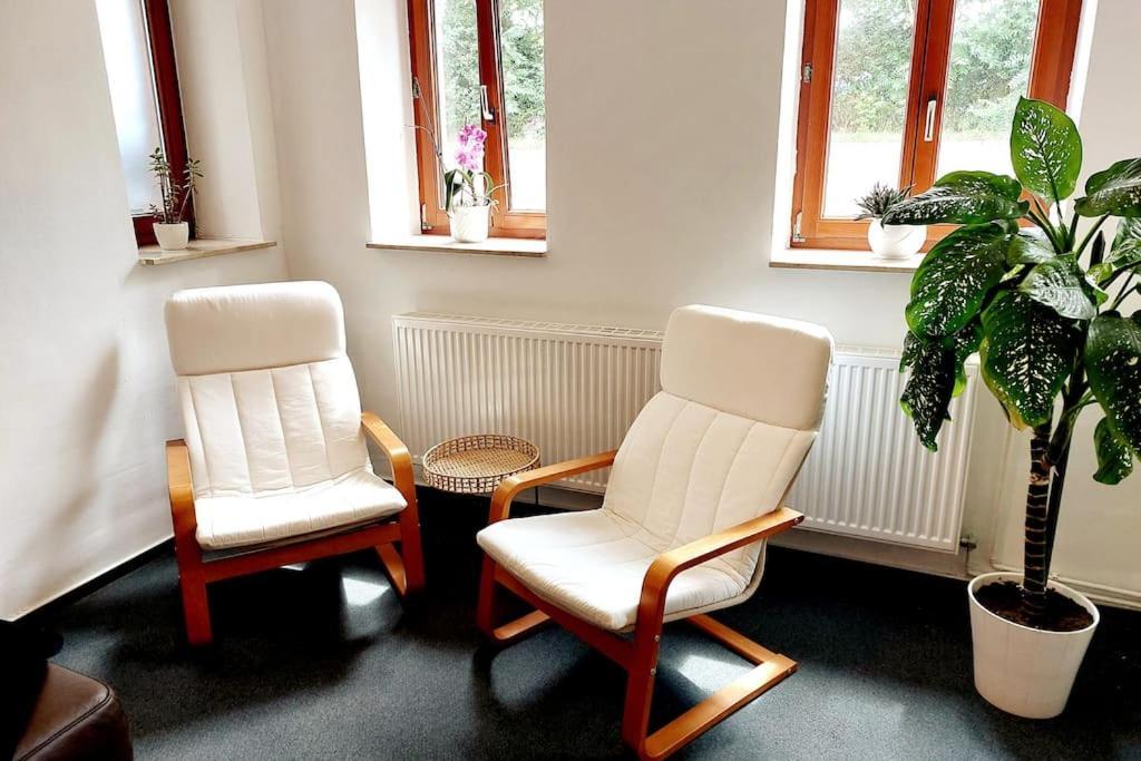 Zentrale Ferienwohnung - Direkt Am See Und Schloss Schwerin  Eksteriør billede