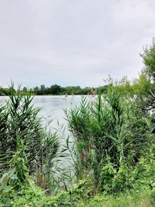 Zentrale Ferienwohnung - Direkt Am See Und Schloss Schwerin  Eksteriør billede