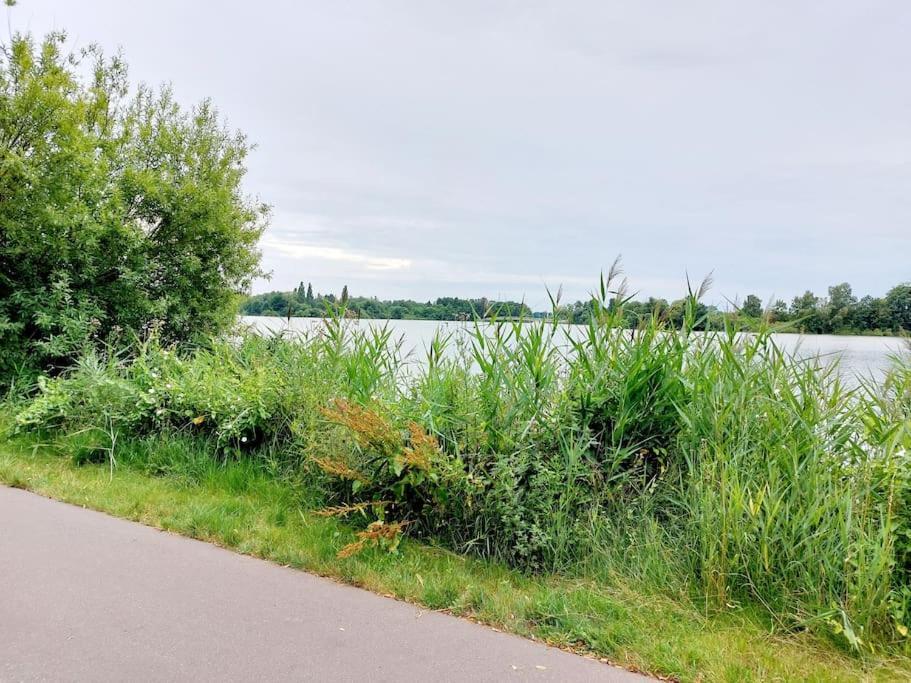 Zentrale Ferienwohnung - Direkt Am See Und Schloss Schwerin  Eksteriør billede